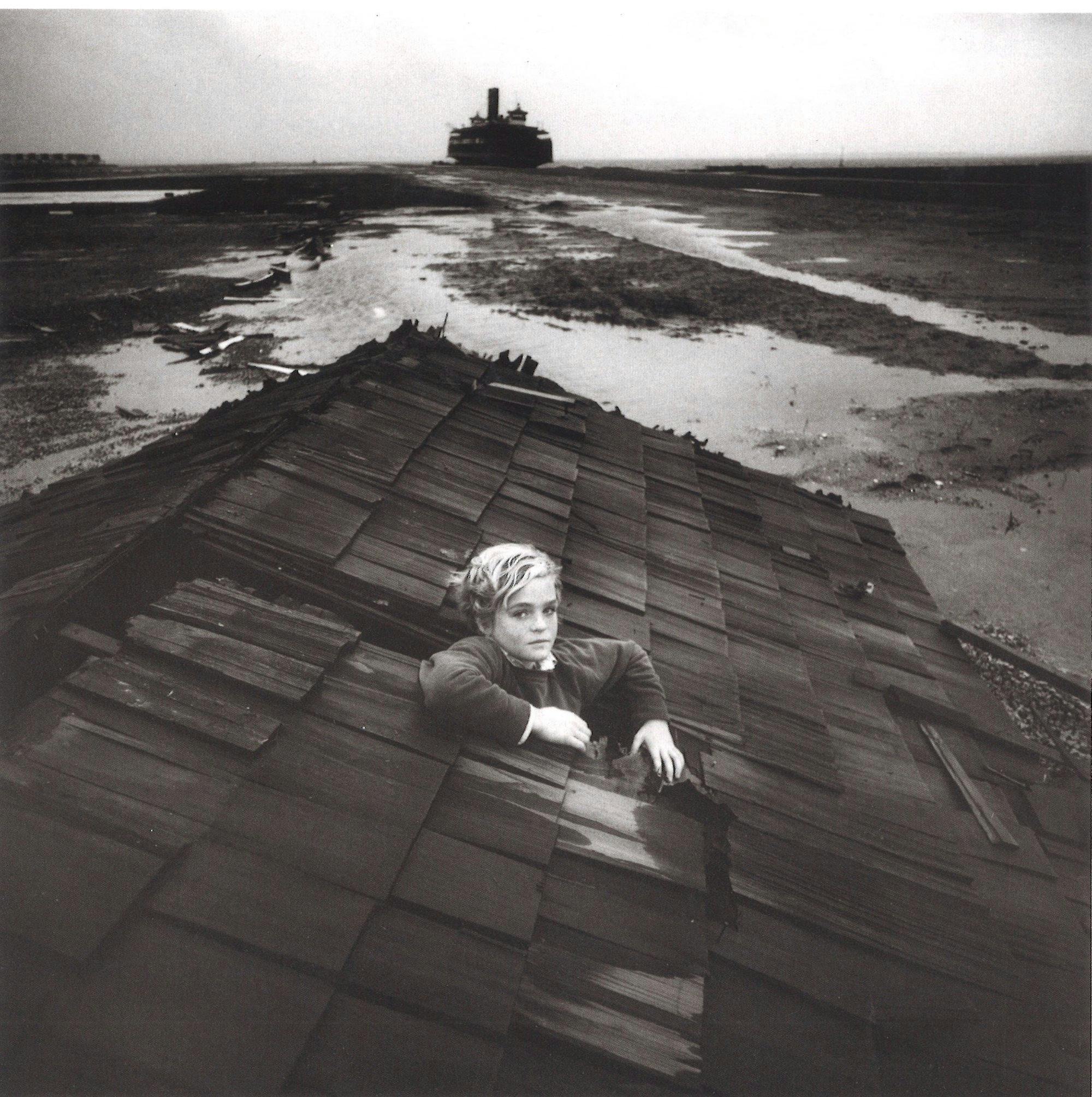 A young person peers outside the roof of a house that has washed ashore as if after a flood.