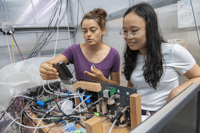 Data support and services | University Libraries