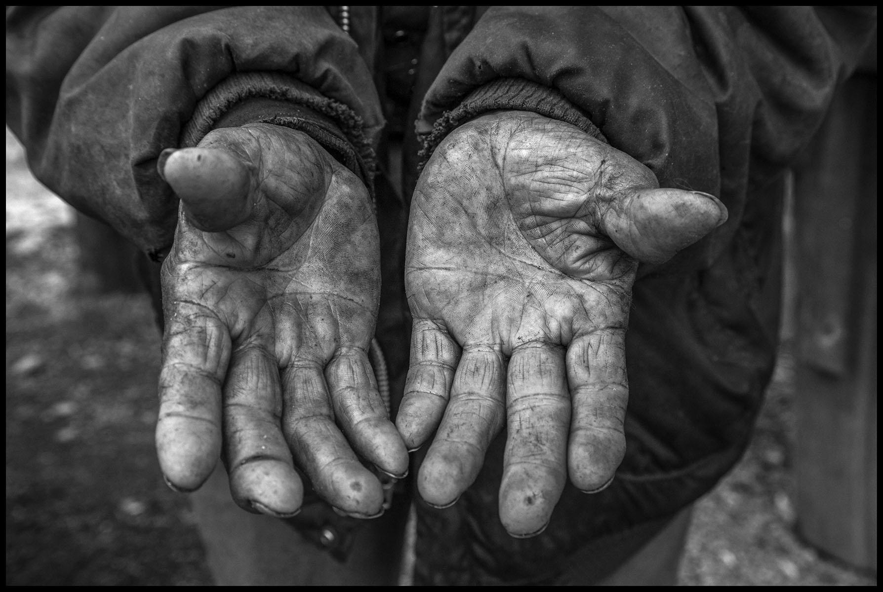 A pair of dirt-covered hands held out, palms up. The hands of Manuel Ortiz show a lifetime of work. Yakima, Washington, 2015. The David Bacon Archive, Department of Special Collections, Stanford Libraries