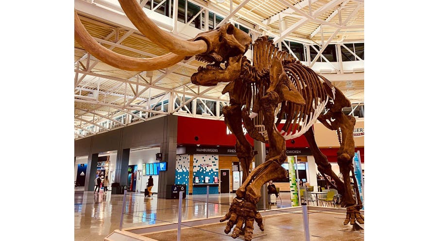 Large mastodon skeleton in the Cincinnati airport