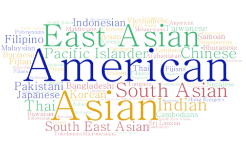 Word cloud showing the words "American", "Asian", and "East Asian" prominently amoung other descriptions.