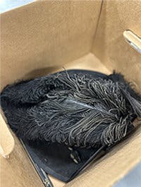 Dark gray feather plume in an archival box